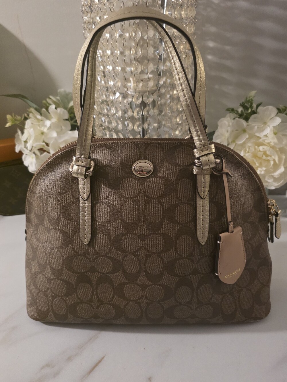 Coach Brown Signature Dome Satchel With Shoulder Strap